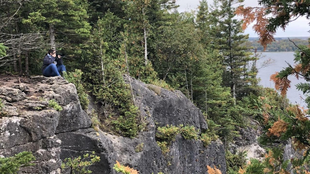The Whippoorwill Cottage - Nbp-2022-201 Lion's Head Esterno foto